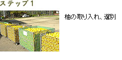 Xebv1^M̎AI